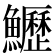 𩽏
