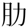 肋