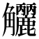 𧥗