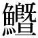 𩽙