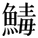 𩹝