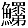 𩽞