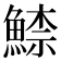 𩹟