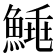 𩹣