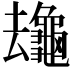 𪚸