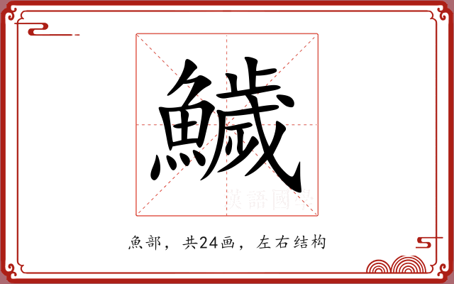 鱥