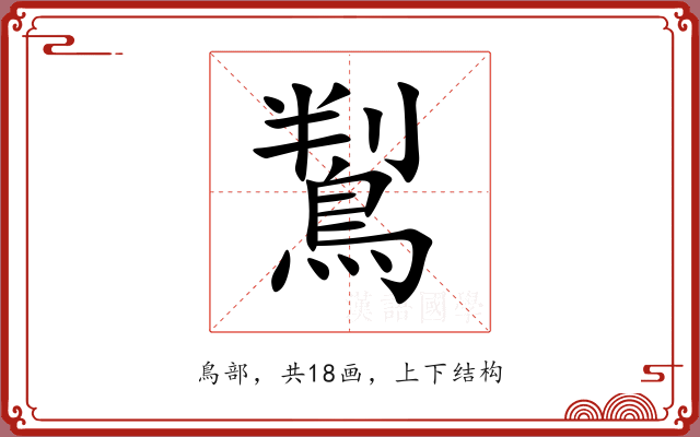鵥