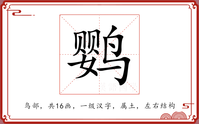 鹦 鹦