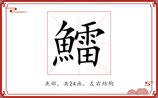 鱩