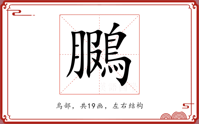 鵩 鵩