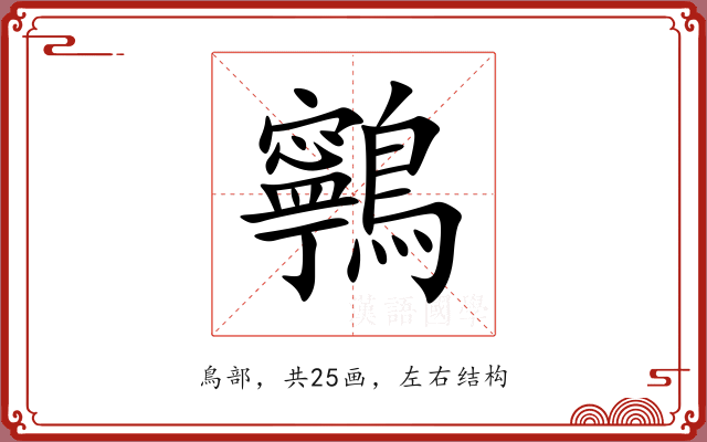 鸋