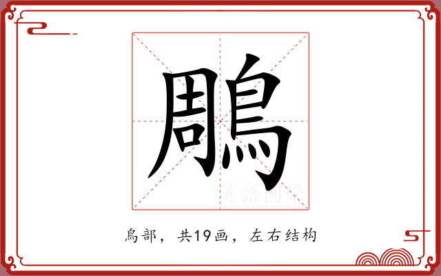 鵰 鵰