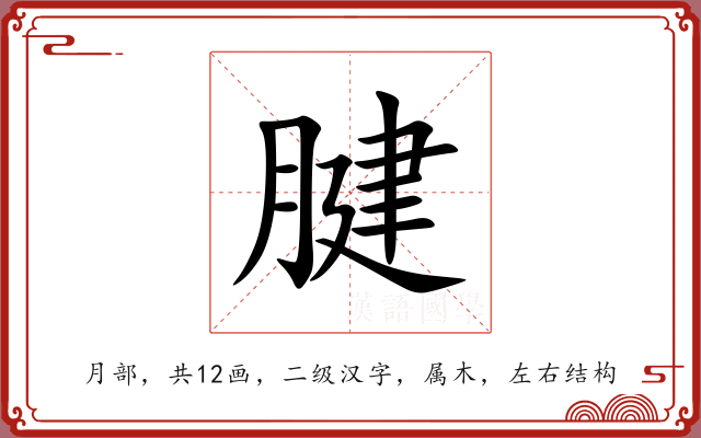 腱 腱