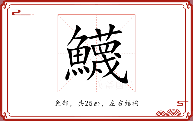 鱴