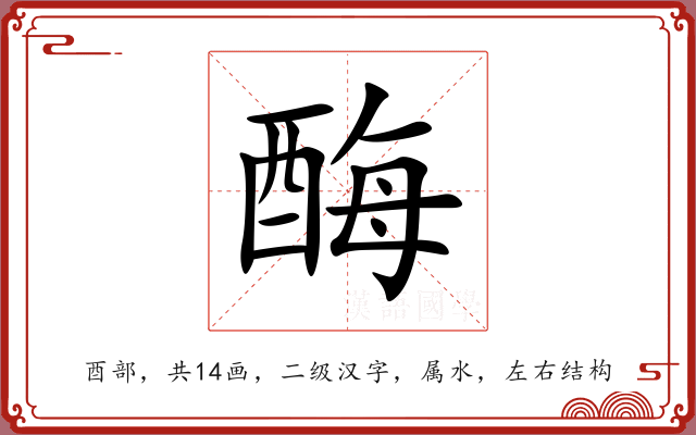 酶 酶