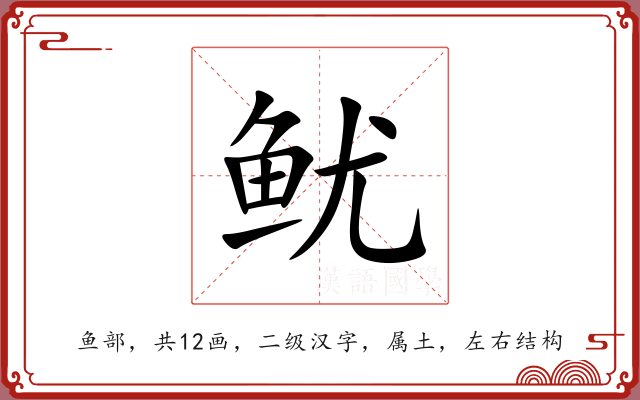 鱿