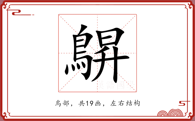 鵿 鵿