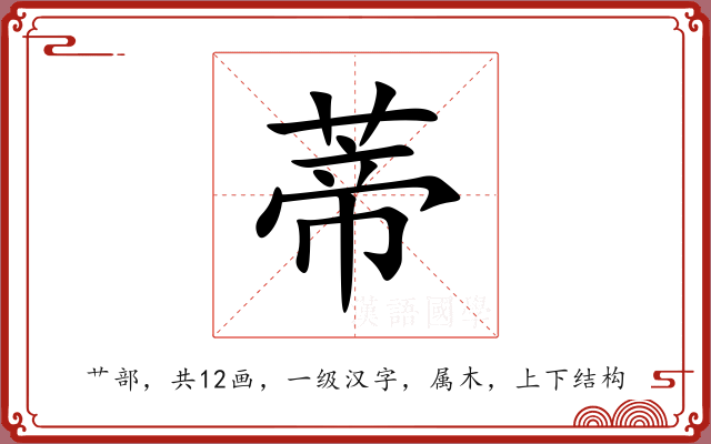 蒂 蒂