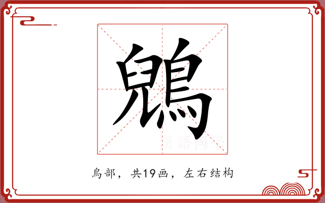 鶂