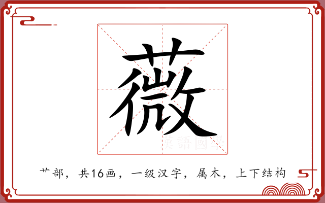薇