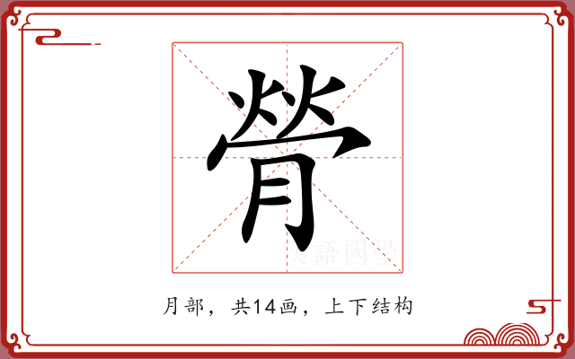 膋 膋