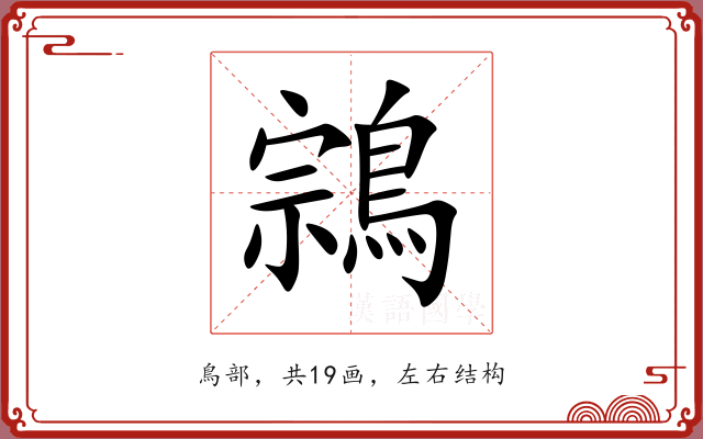 鶎