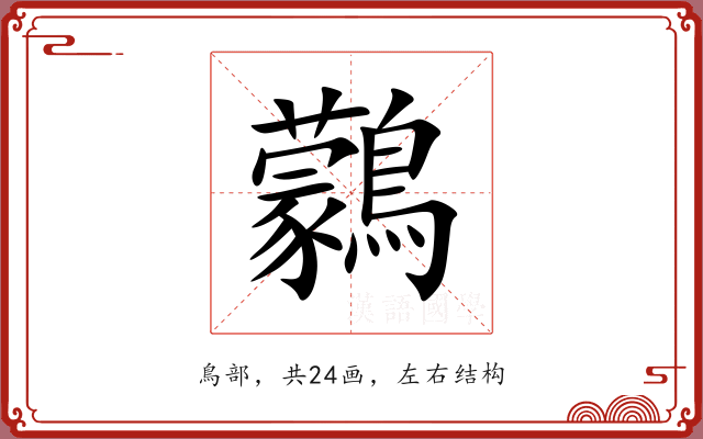 鸏