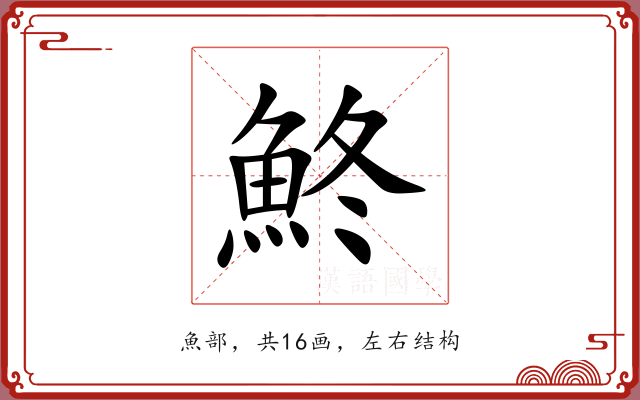 鮗