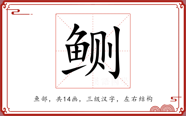 鲗