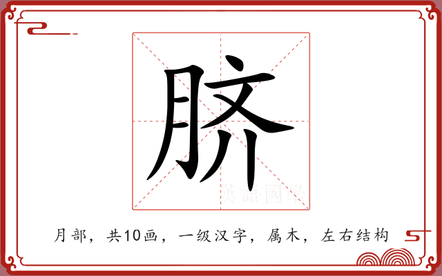 脐