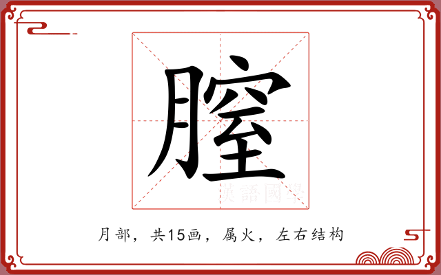 膣