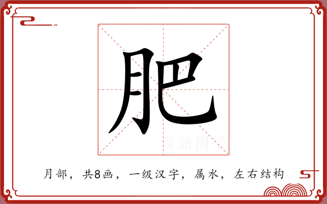 肥 肥