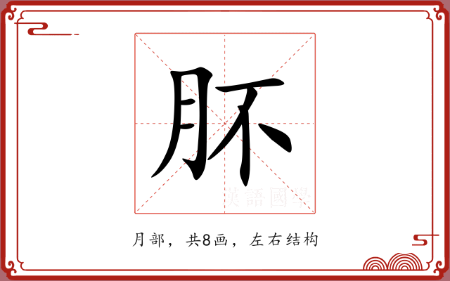 肧 肧
