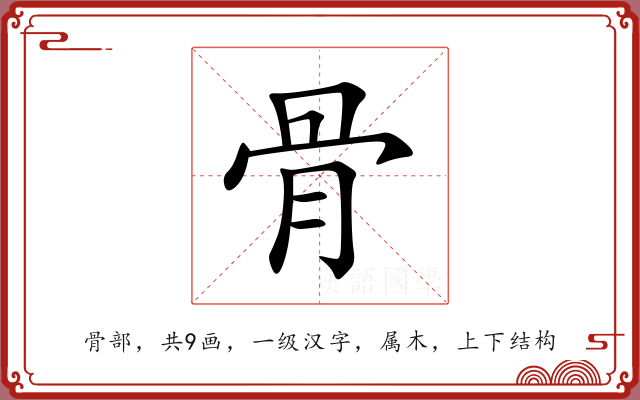 骨 骨