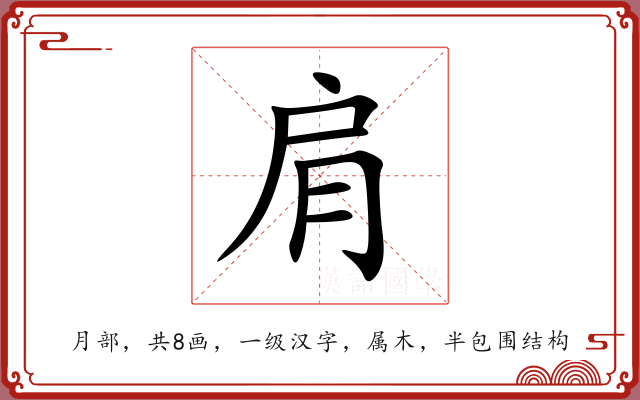 肩 肩