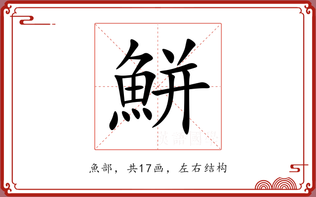 鮩