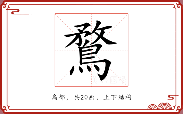 鶩