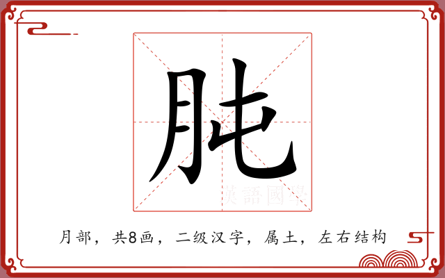 肫 肫