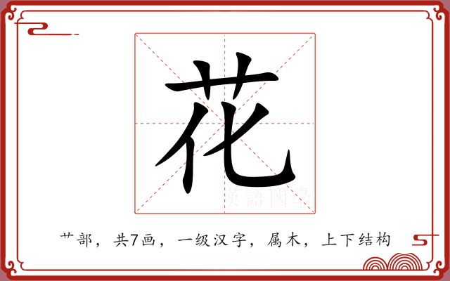花 花