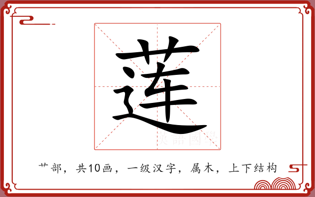 莲