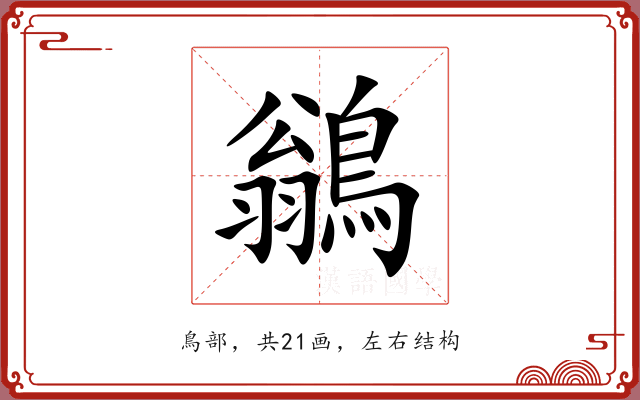 鶲