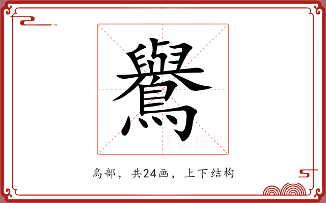 鸒