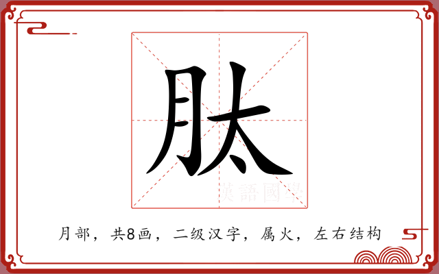 肽 肽