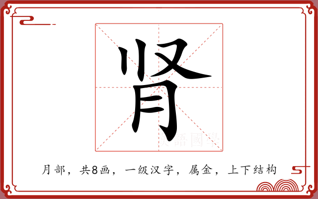 肾