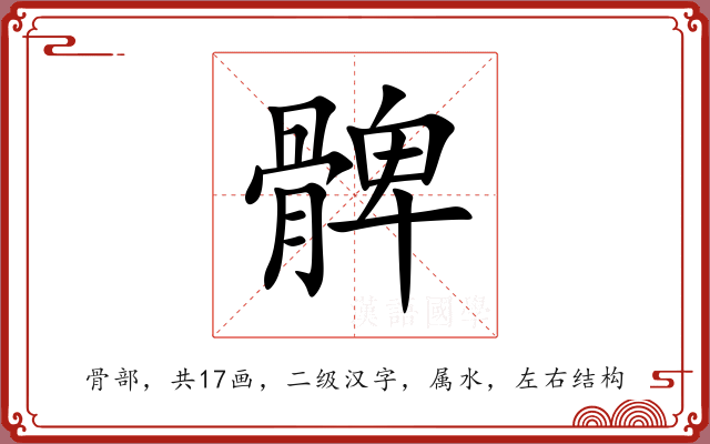 髀 髀
