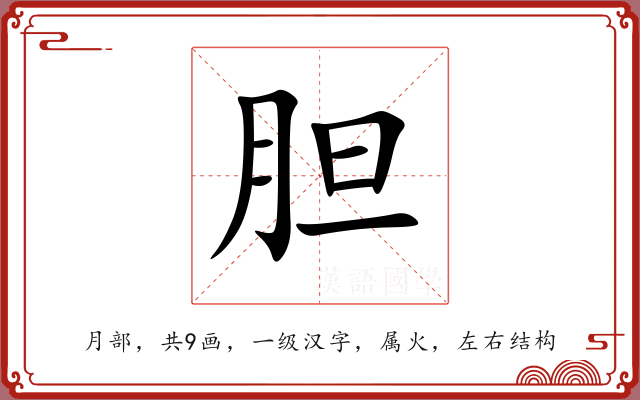 胆 胆