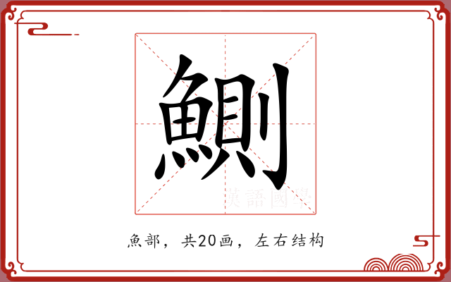 鰂