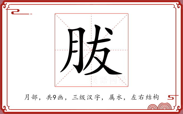 胈 胈