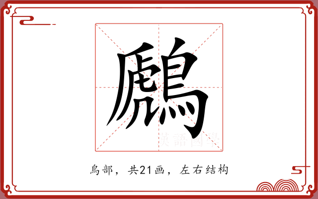 鷉