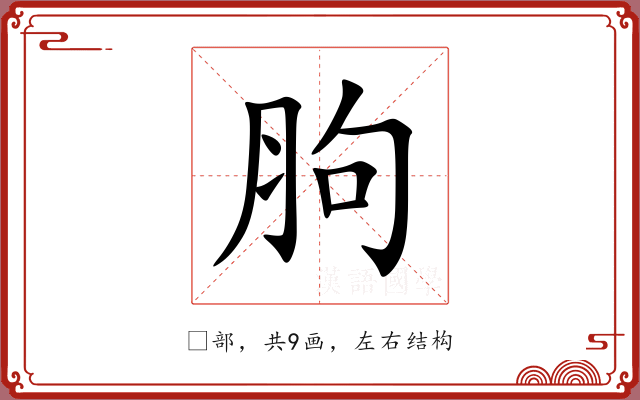 胊